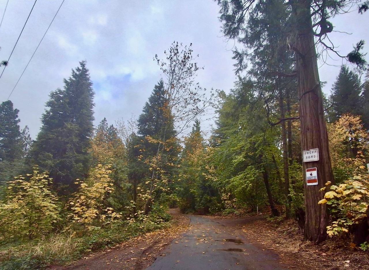 527 Brehm Rd - Photo 2 of 23