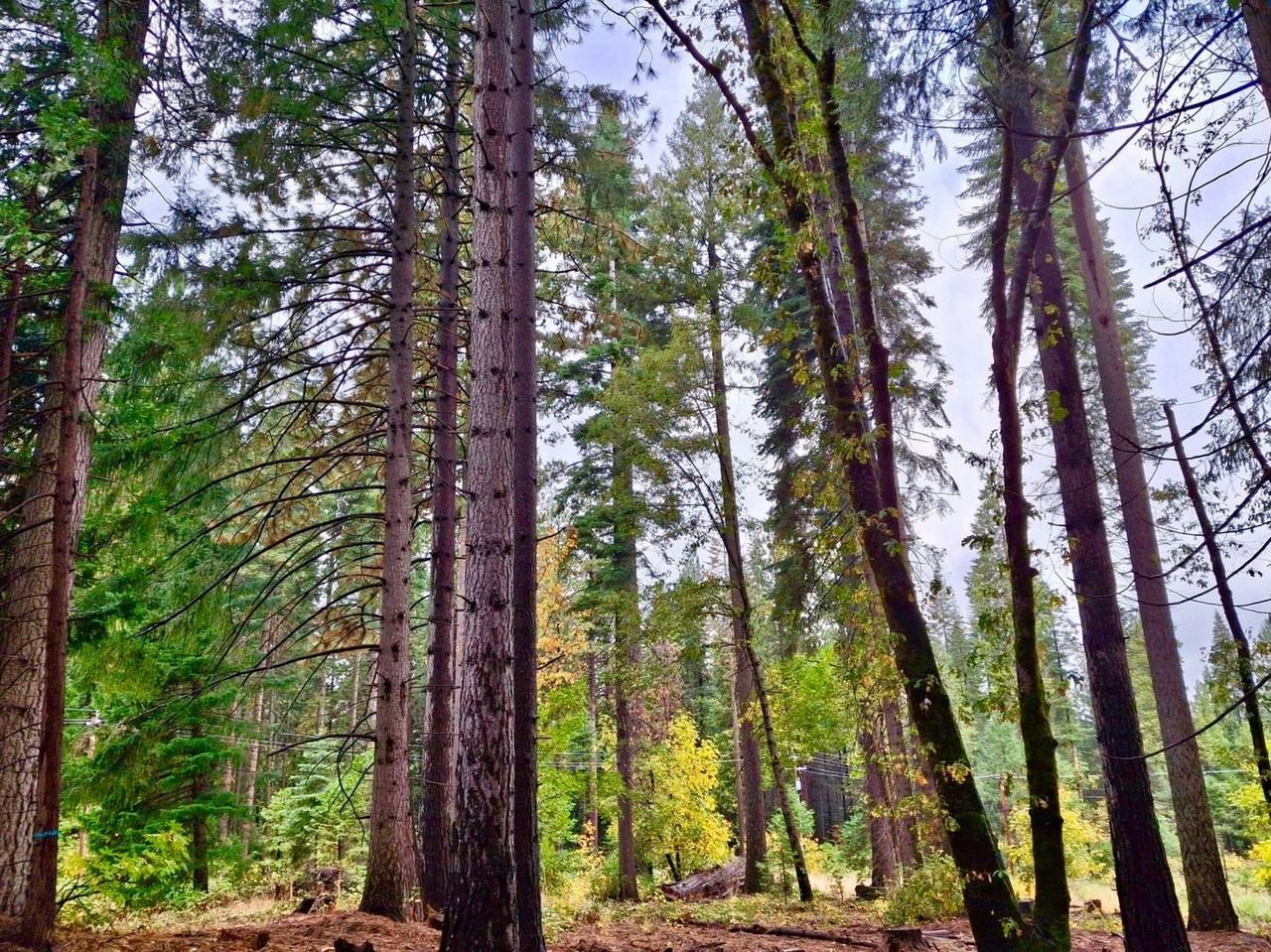 527 Brehm Rd - Photo 3 of 23