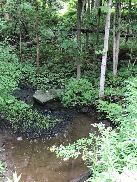 1610 Glasco Tpke #B3 - Photo 4 of 11