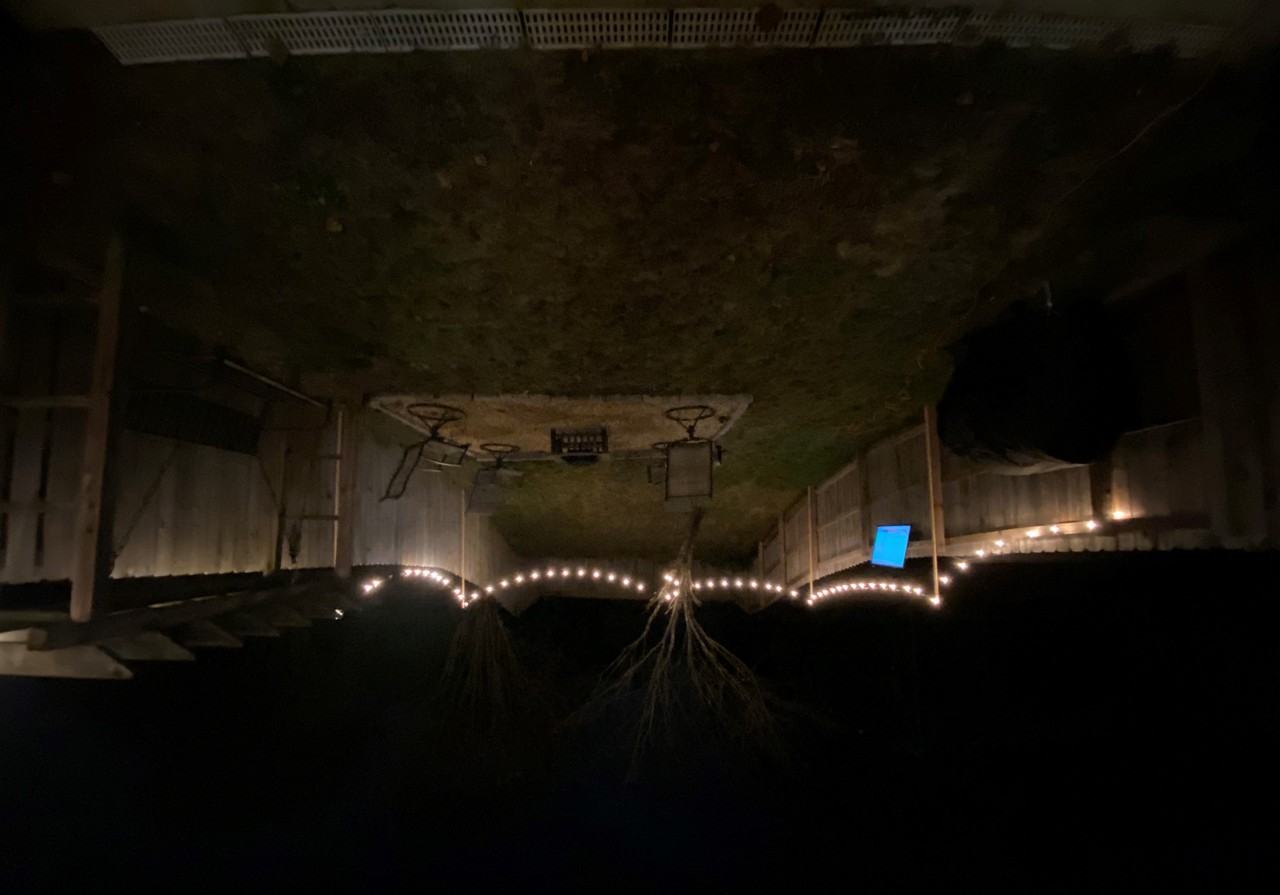 707 Carr Ave - Photo 3 of 17