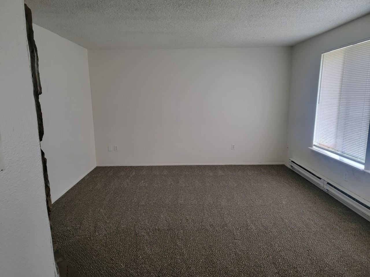 16812 21st Avenue Ct E - Photo 3 of 14