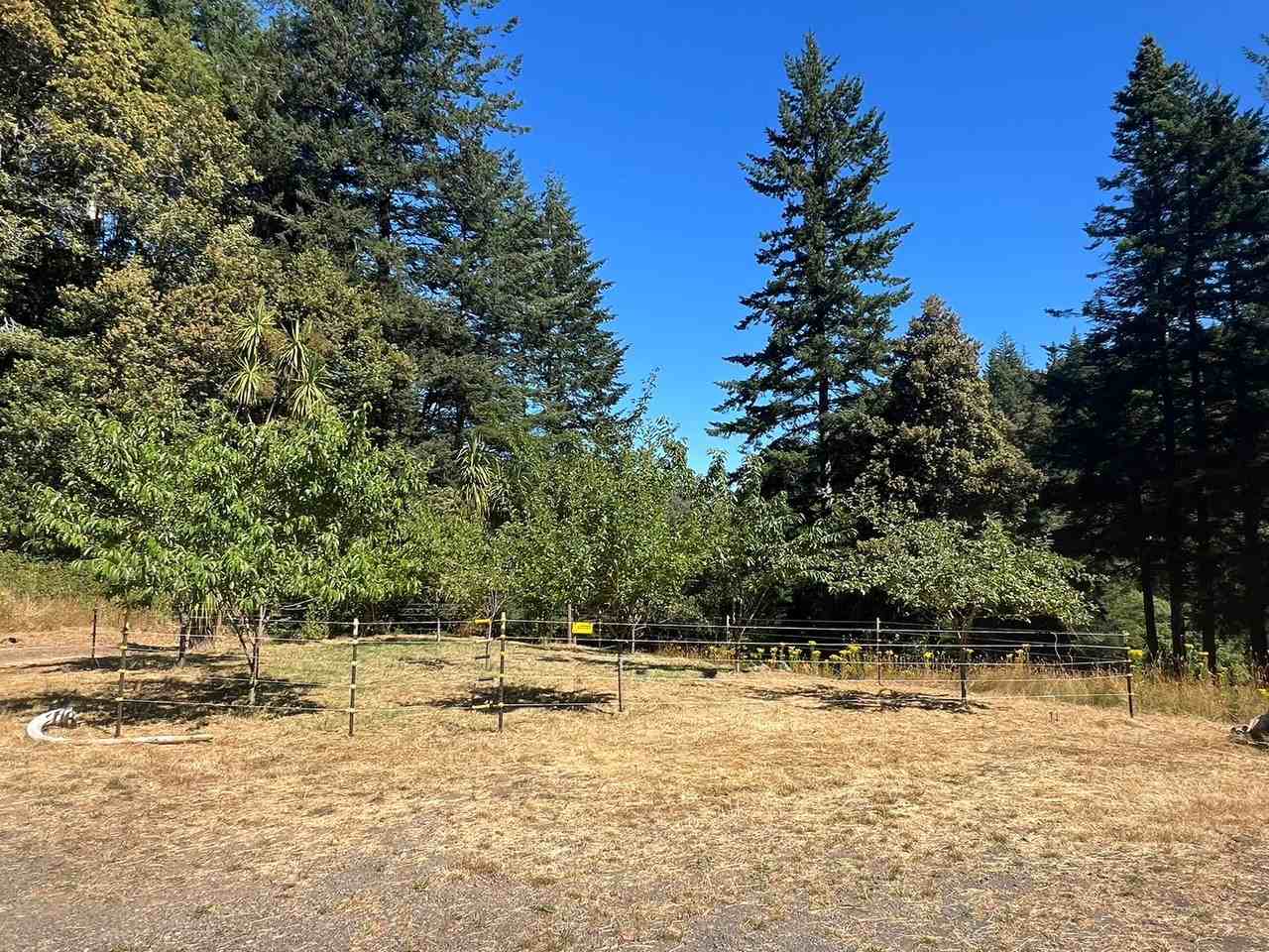 32232 Cedar Valley Rd - Photo 3 of 13