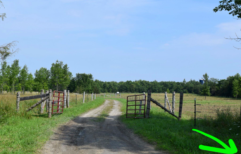 24 Lakeshore Rd - Photo 2 of 11