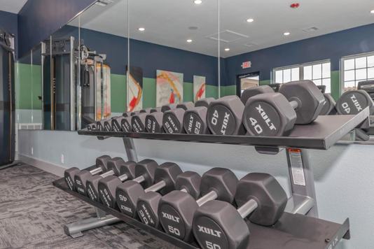 The Stellar Family 2 of 4