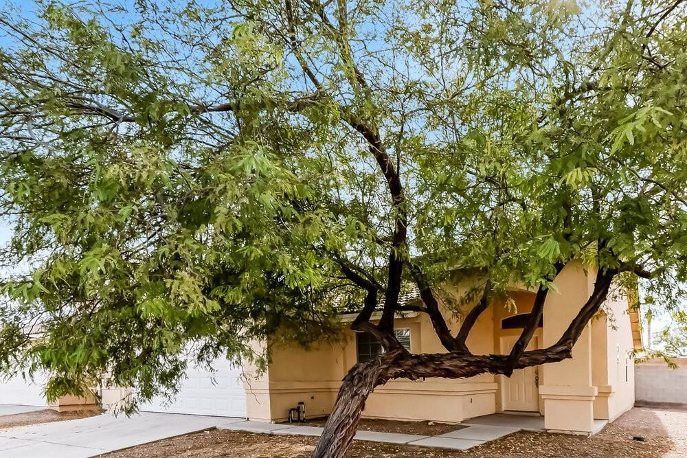 3605 Vista Springs Way - Photo 3 of 16