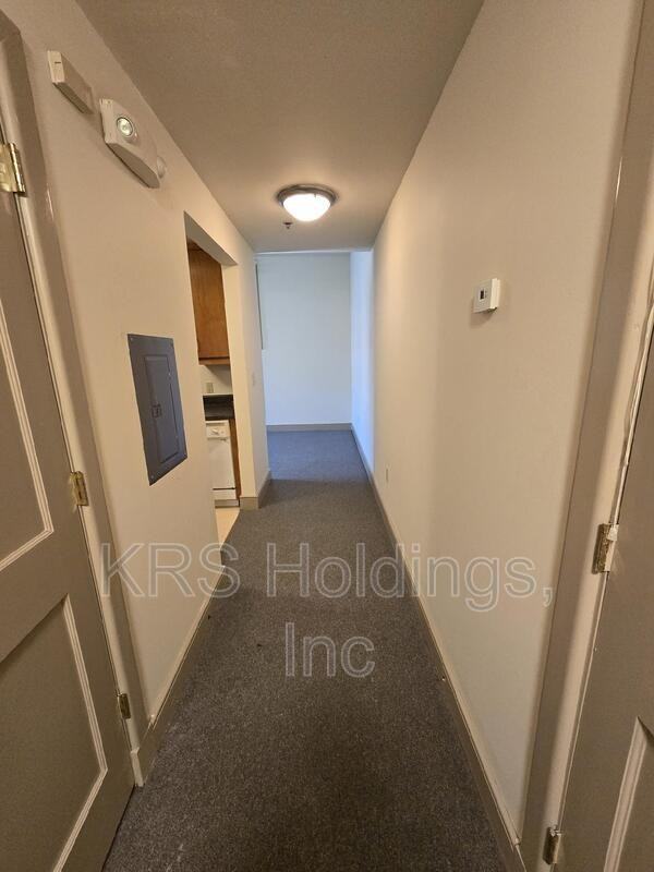 633 W Washington St #205 - Photo 4 of 13