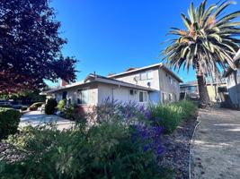 featured image of 790 Carro Dr