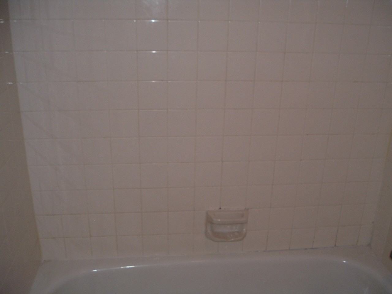 1714 Forest Lakes Cir Apt B - Photo 6 of 9