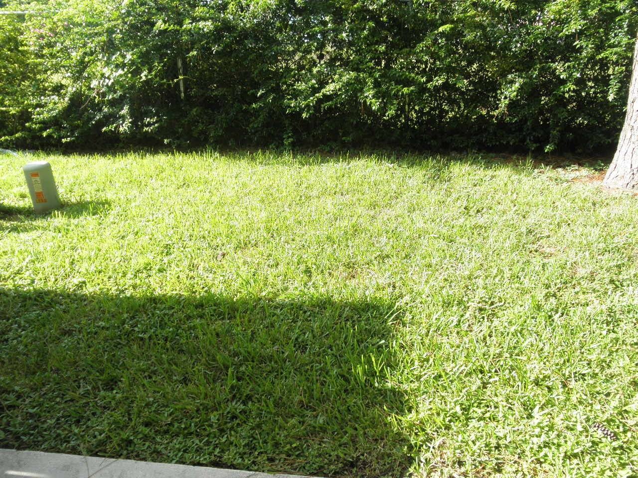 721 Cypress Way E - Photo 3 of 25