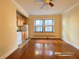4546 N Damen Ave #CL209 - Photo 1 of 1