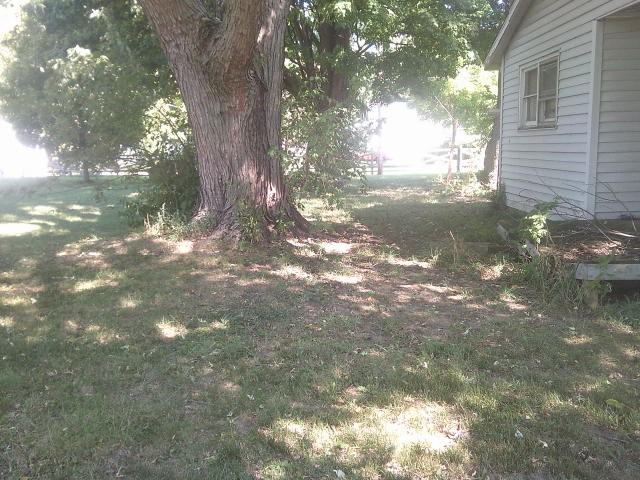 1520 S Miller Ave #NA - Photo 3 of 9