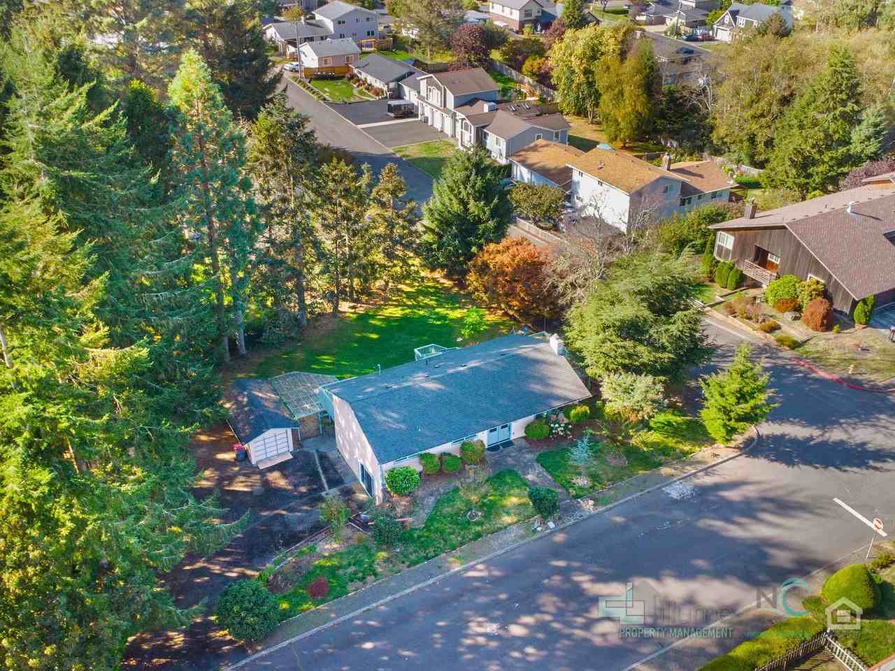 242 Hemlock St - Photo 5 of 50