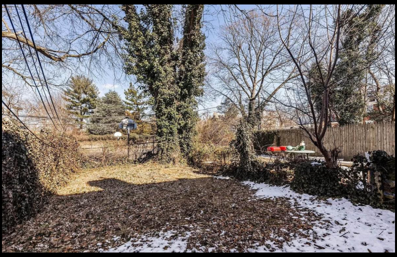 5527 Pulaski Ave #1 - Photo 6 of 18