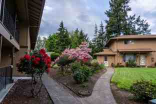 Hazelwood - Queen Ave SW - Photo 1 of 1