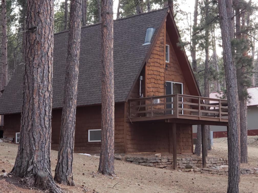 8991 Sheridan Lake Rd - Photo 3 of 17