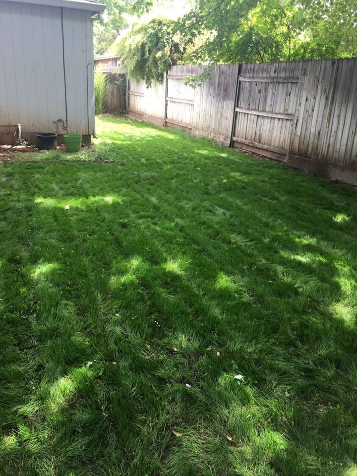 421 W 6th Ave - Photo 4 of 7