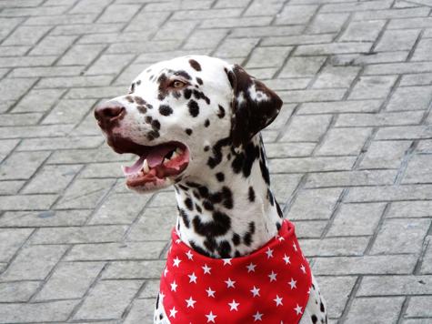 Woodward Management Partners, LLC 4 of 4