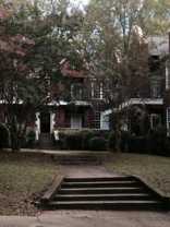 ALTA VISTA - Photo 1 of 1