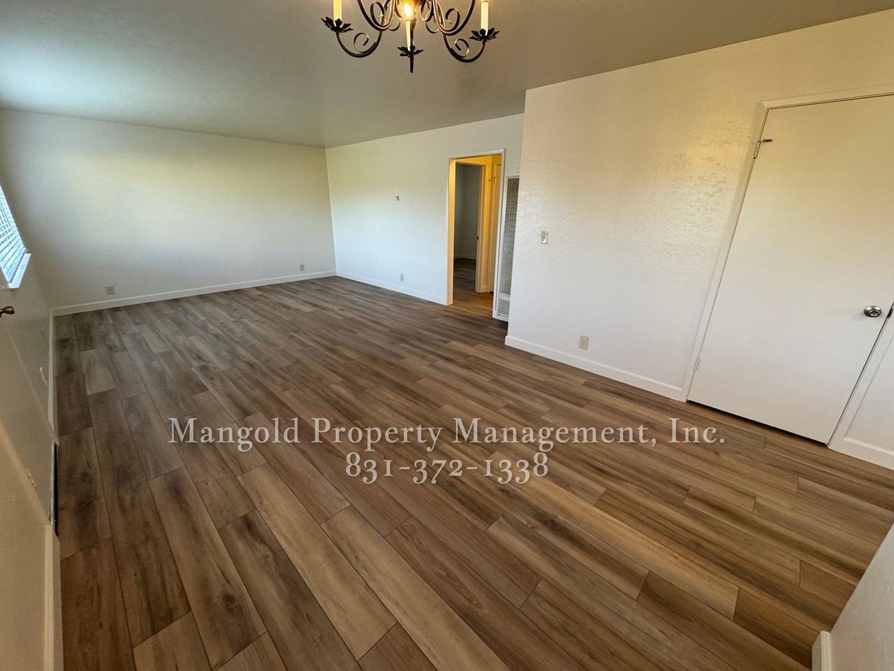 450bel - Photo 2 of 19