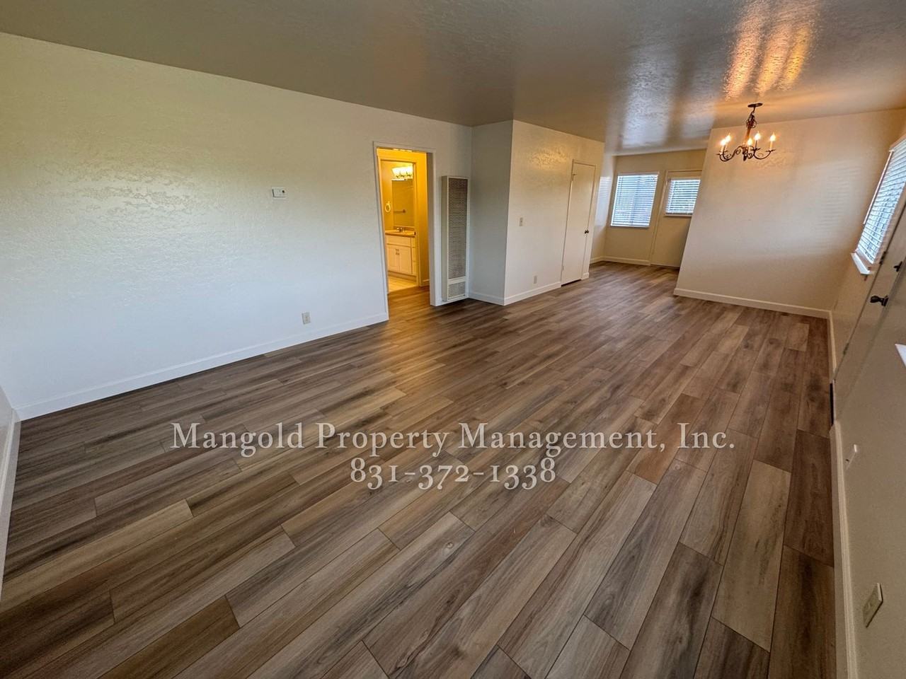 450bel - Photo 3 of 19