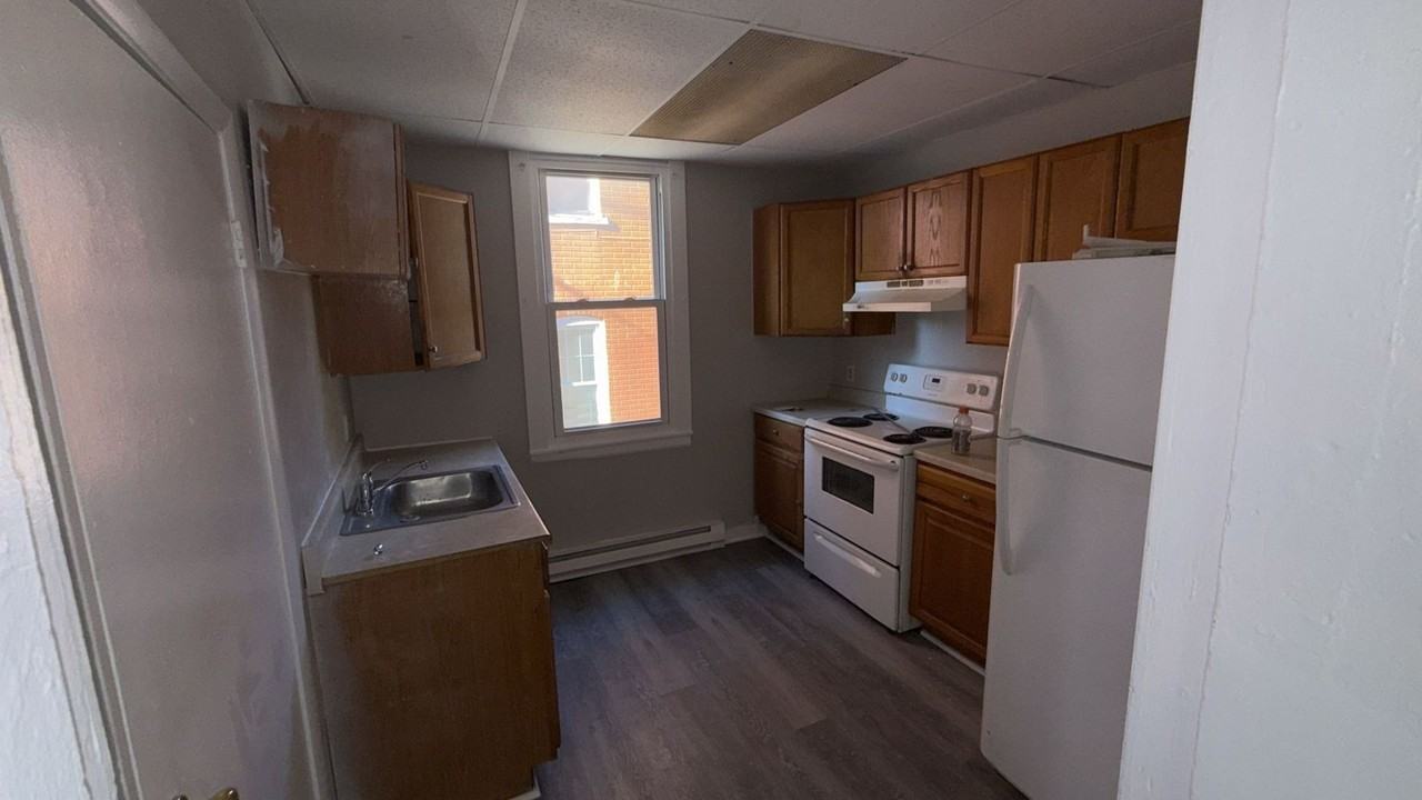 217 Chestnut St - Photo 2 of 12