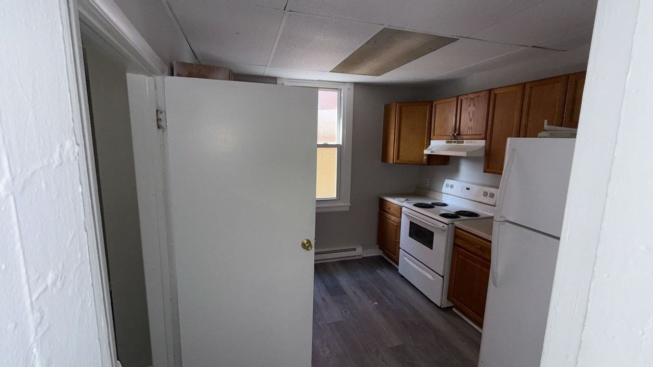 217 Chestnut St - Photo 4 of 12