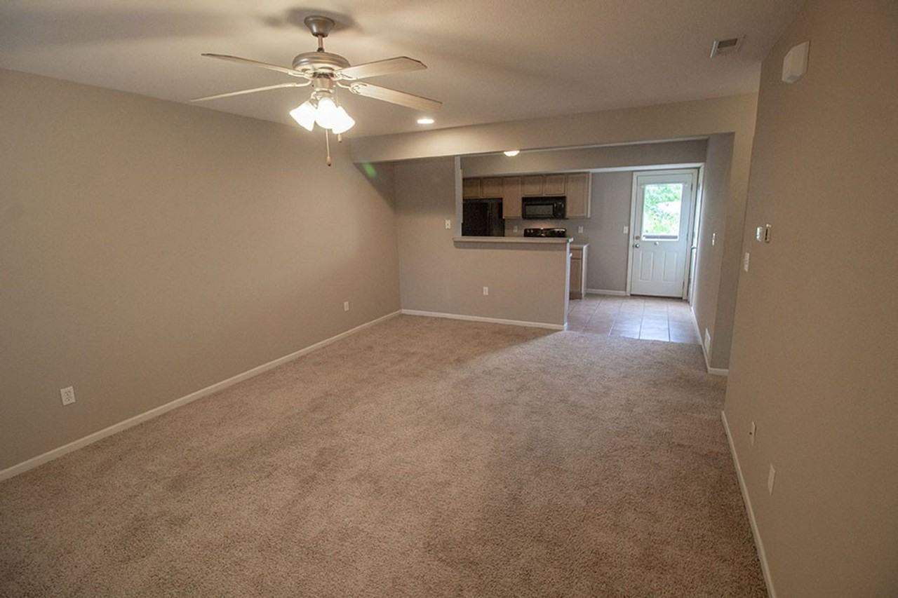 4007 Snowy Owl Dr - Photo 4 of 39