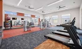 Legacy at Veramendi - Photo 1 of 1