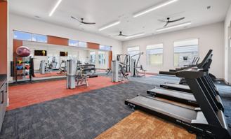 Legacy at Veramendi - Photo 1 of 1