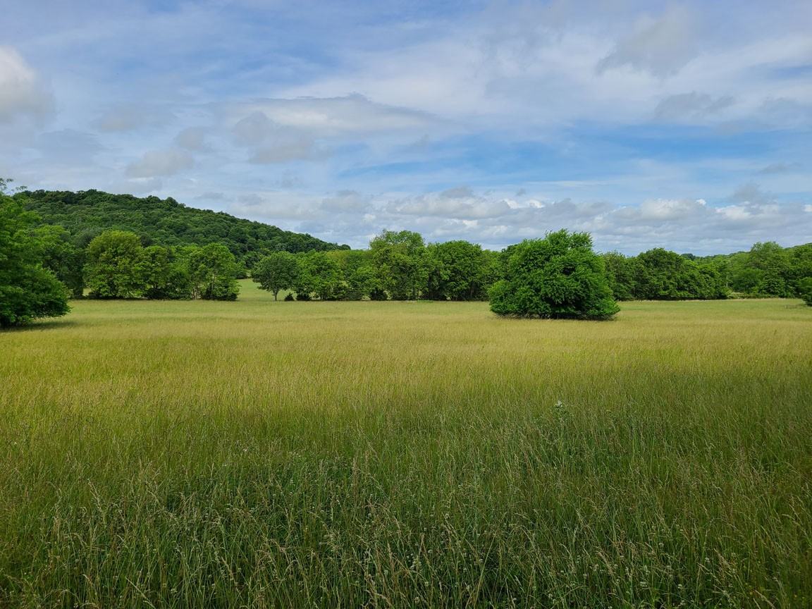 465851 Highway 51 #NA - Photo 5 of 6