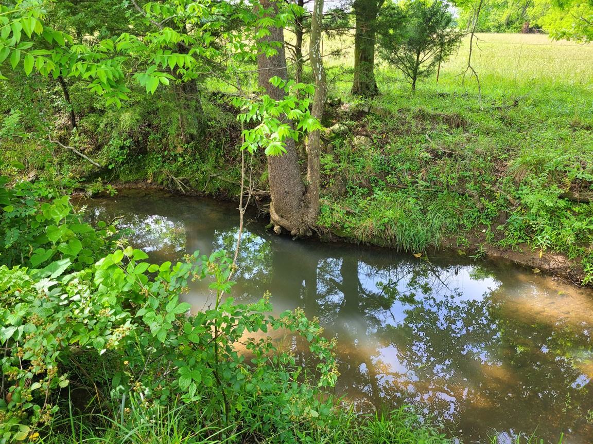 465815 42nd Rainbow Infantry Division Memorial Highway #NA - Photo 4 of 4