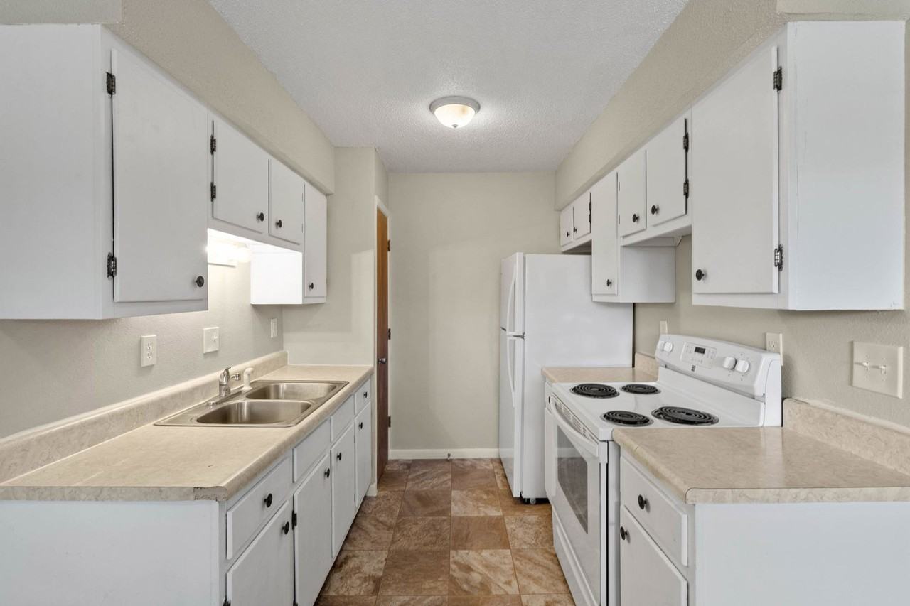 The Ferns - Photo 2 of 45