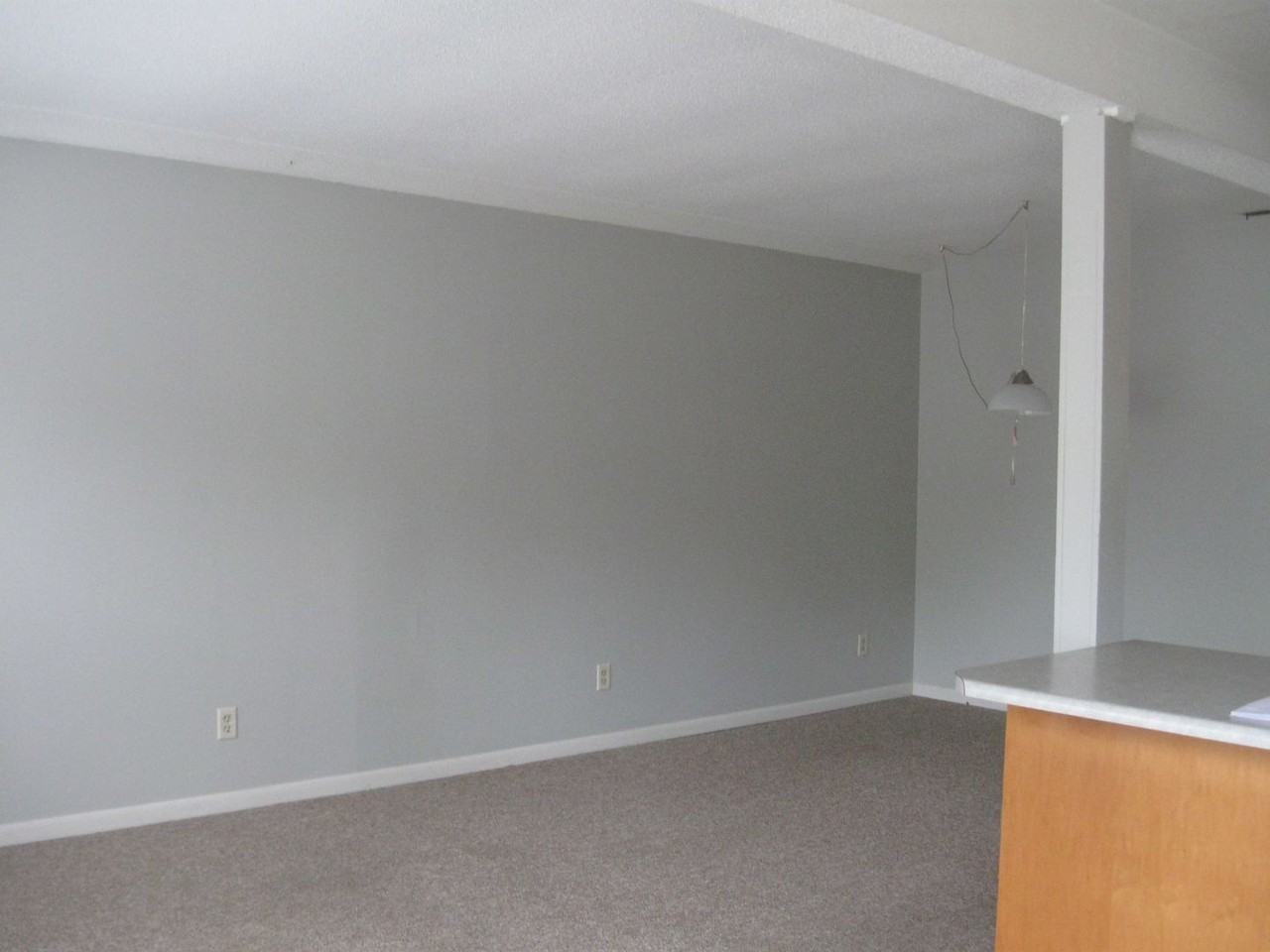 807 West University Avenue - Photo 4 of 11