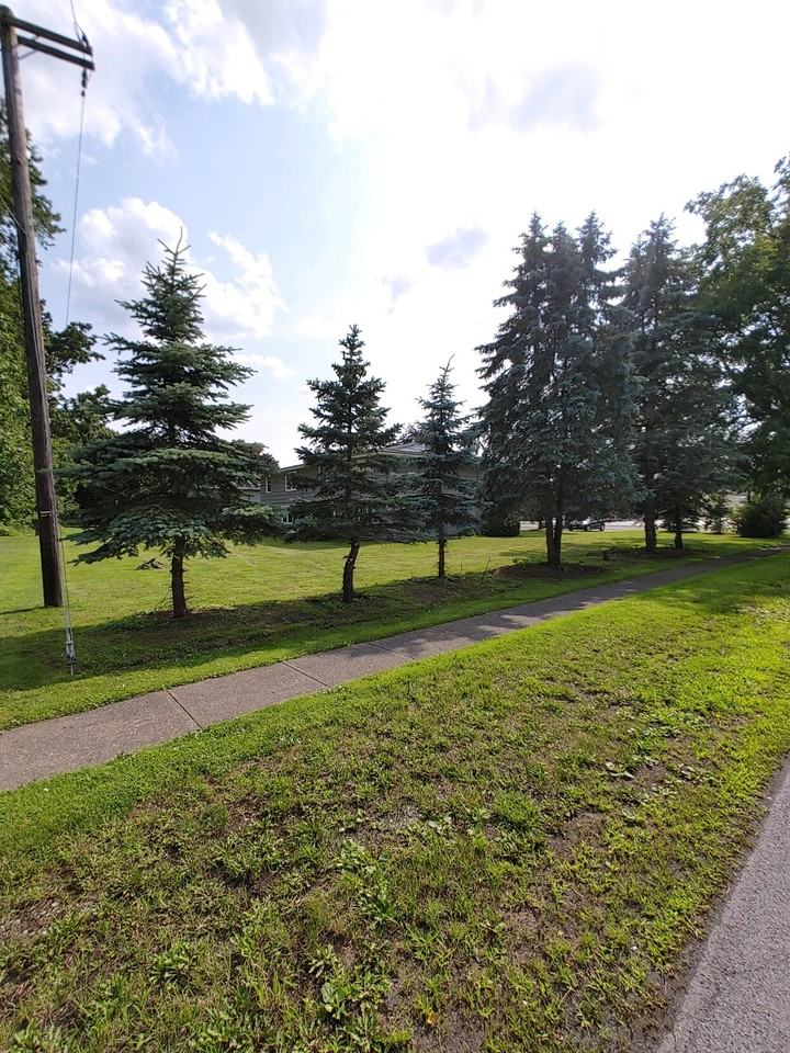 1 Orchard Park - Photo 3 of 21