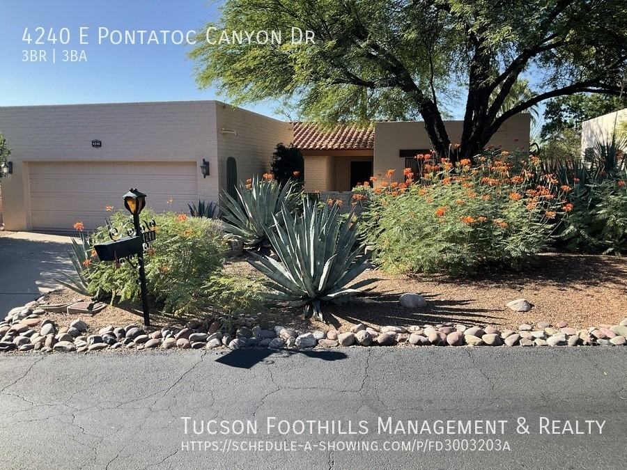 4240 E Pontatoc Canyon Dr - Photo 3 of 50