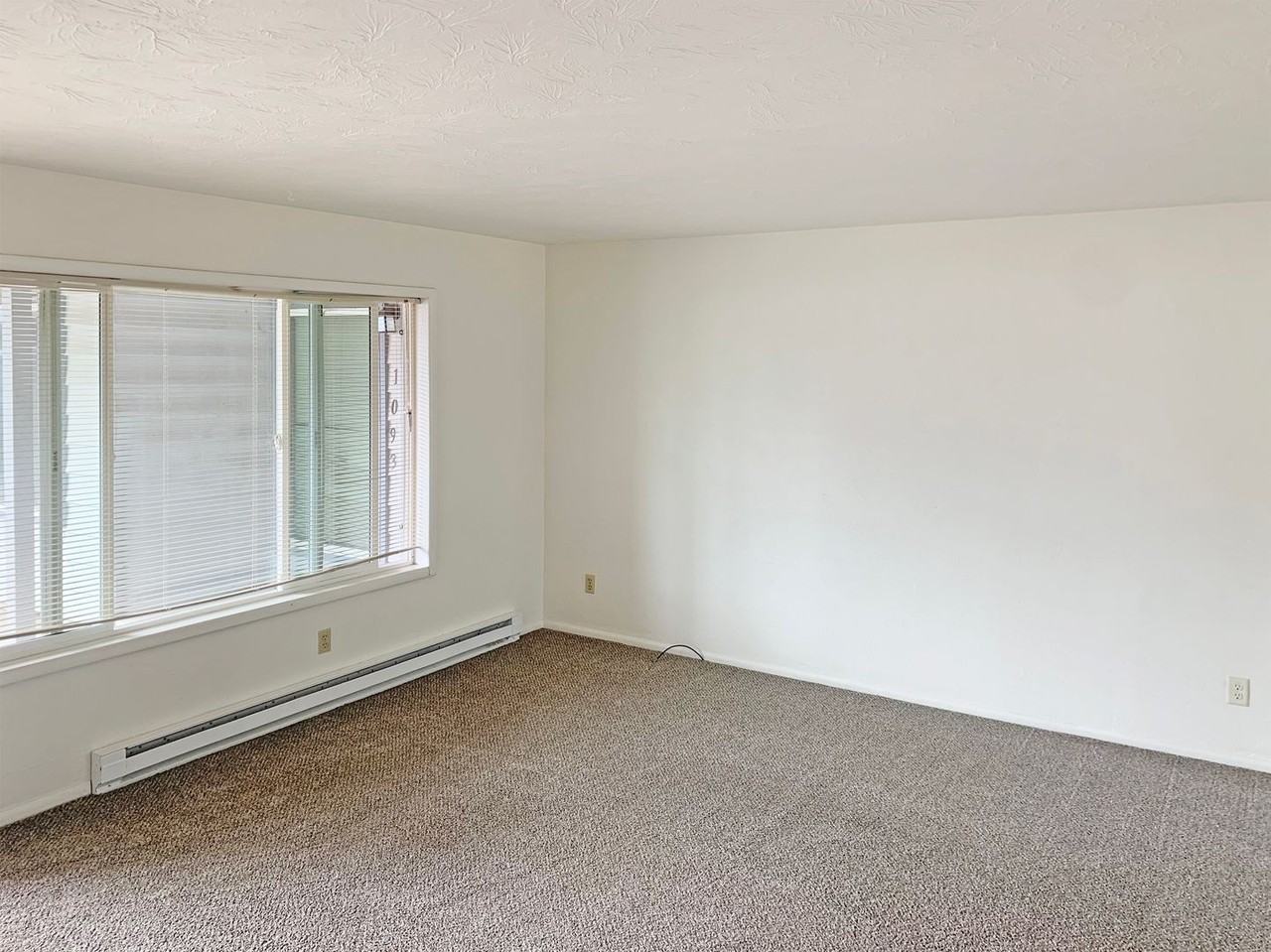 487-Ring St - Photo 6 of 12