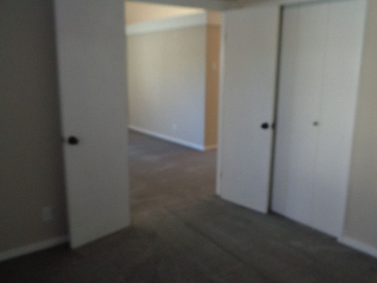 1208 Arlington Ct - Photo 6 of 20