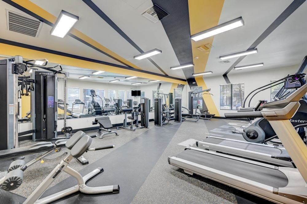 Cabrillo - Photo 5 of 25