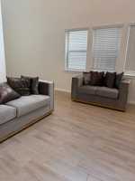 featured image of Cypress Conifer Drive