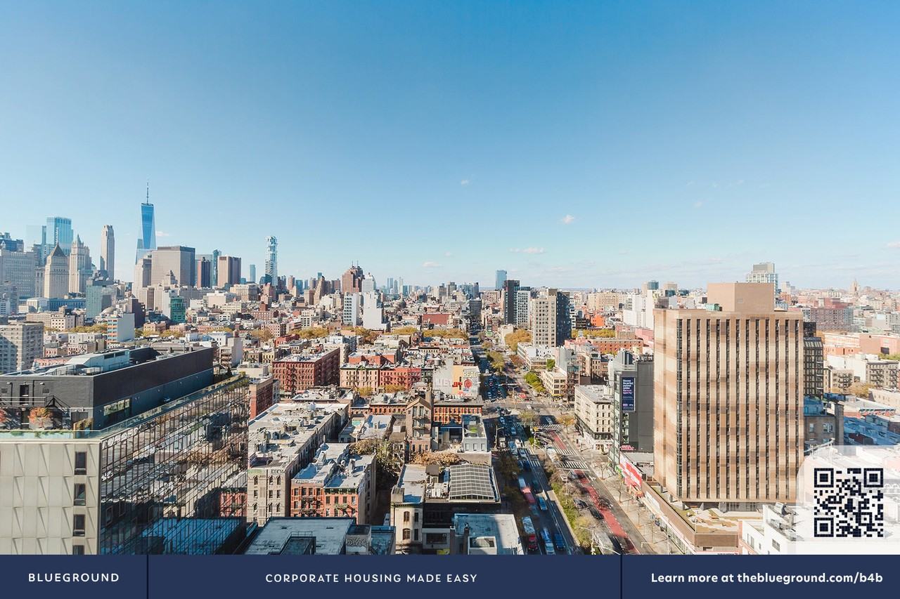 125 Delancey Street - Photo 6 of 33