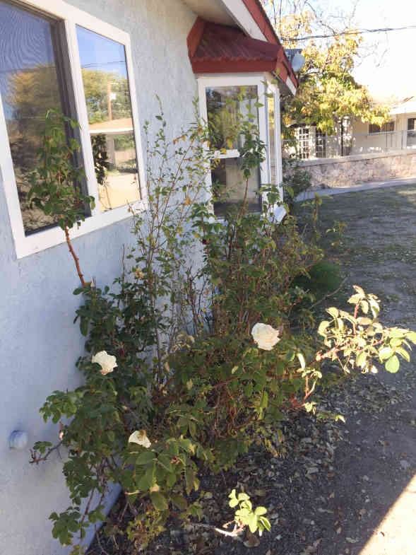 1002 State Road 76 #NA - Photo 2 of 12