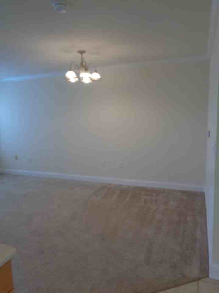 802 Majestic Dr - Photo 7 of 15