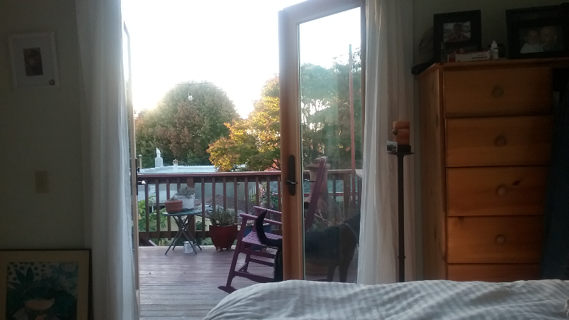 1068 Curtis St #1068 - Photo 2 of 4