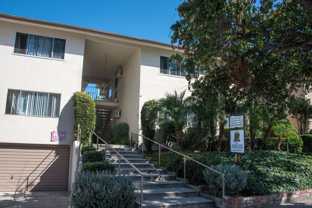 boy1256 - Photo 1 of 1