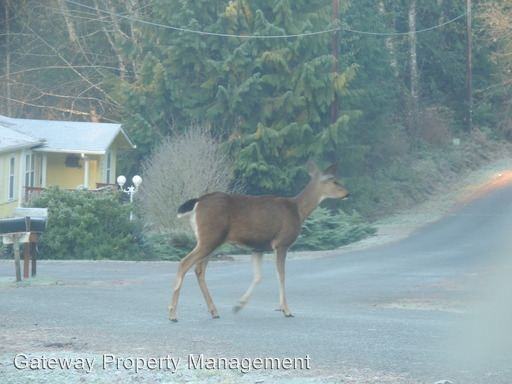 51 E Herron Dr - Photo 2 of 19