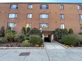 222 Babcock St #1D - Photo 1 of 1