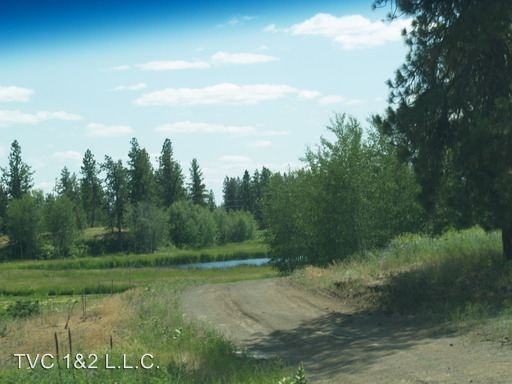 ALKI - Photo 2 of 16