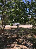 11002 Fm 969 Rd Frnt A #NA - Photo 1 of 1