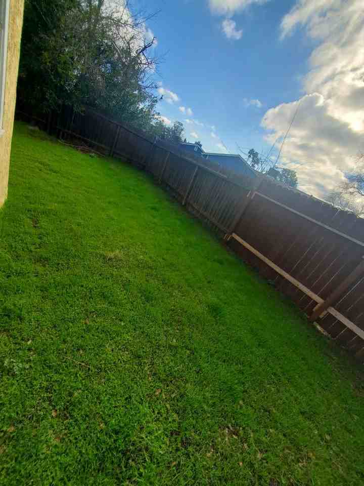 2424 18th Ave - Photo 2 of 22
