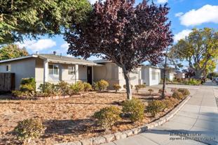 880 San Mateo Ct - Photo 1 of 1